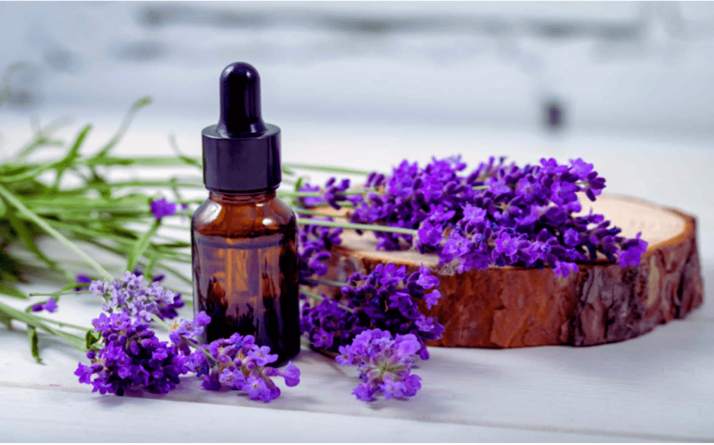 Lavender Essential oil