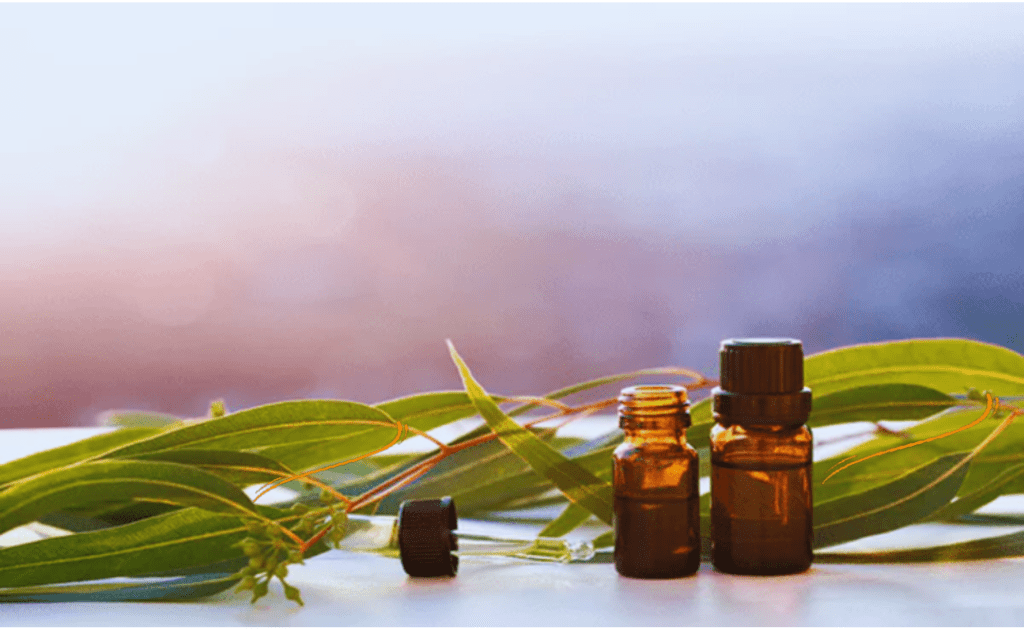 Vetiver essential oil